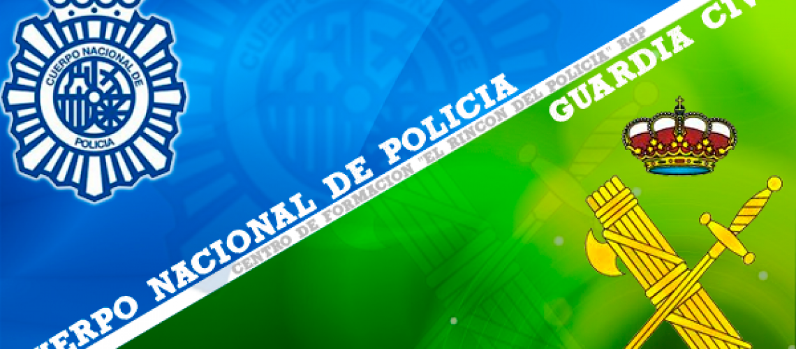 Ciberpolicía Española