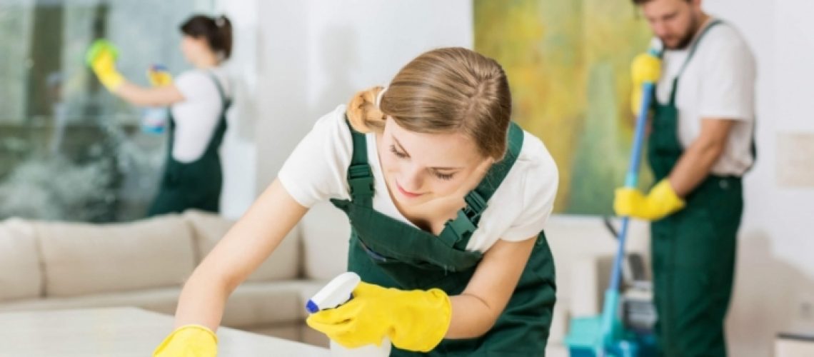 EMPLEADAS DE HOGAR Y LOPD