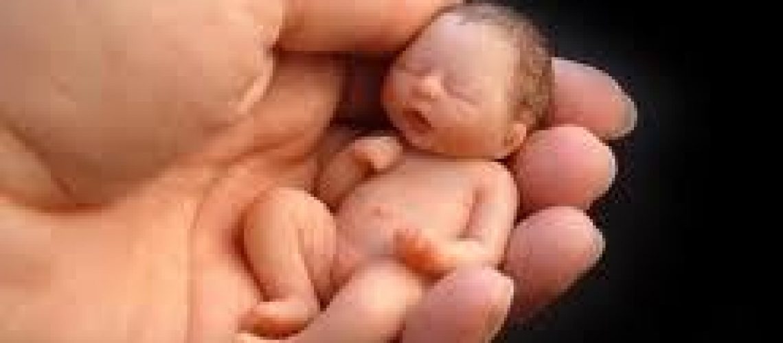 SERENIDAD INTERIOR. CONSEJO 2